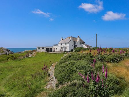 A white house near the coastline with green grass bushes and purple flowers at Pant yr Hyman in Rhoscolyn