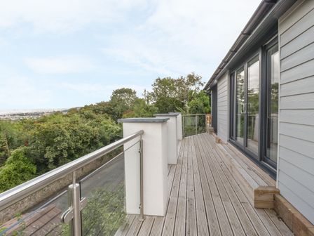 A wooden balcony with glass and metal railing overlooking trees and a road at Sannans Lodge in Penrhyn Bay