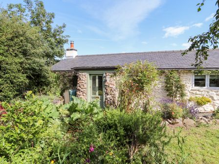 A stone cottage with a green door surrounded by a garden with various plants and bushes at Ysgubor Ucha in Llanelidan near Pwllglas