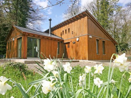 Ireland Log Cabins And Lodges For Rent