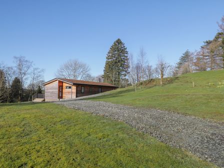 A wooden lodge with a gravel path on a grassy hill surrounded by trees at Tarn Lodge in Bowness-On-Windermere