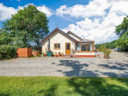 A white house with a wooden door and a glass conservatory next to a gravel driveway with plants and trees in the background at Covert Farm Cwtch in Jeffreyston