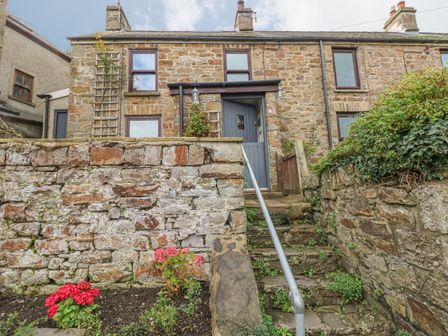 broad haven cottages dog friendly