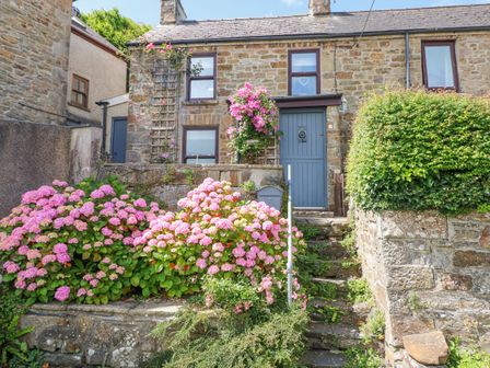 Stone cottage with a blue door and windows surrounded by pink flowers and green bushes at Inglenook Cottage in Broad Haven