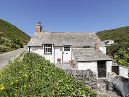 A white stone cottage with a slate roof surrounded by greenery and flowers at Harbour Cottage in Boscastle