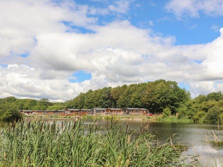 A lake with tall reeds in the foreground and wooden lodges with trees in the background at Mereside South lakeland Leisure Village near Carnforth
