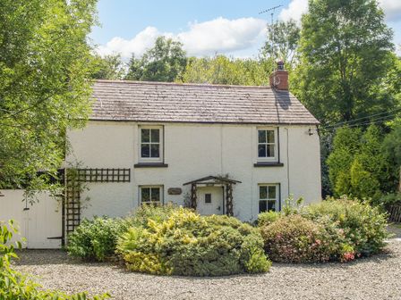 A white cottage with a tiled roof surrounded by shrubs and trees at Panteg Cardigan in Llangoedmor Cardigan