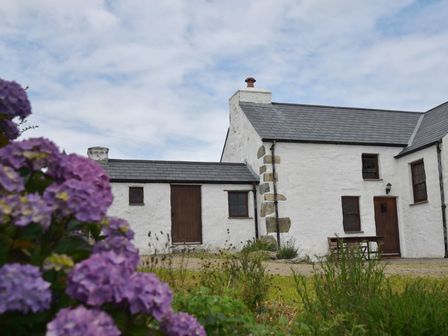 A white cottage with wooden doors and windows and a garden with purple flowers at Panteurig Cottage in Strumble Head Goodwick Pembrokeshire