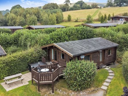 A wooden cabin with a small deck and outdoor seating surrounded by greenery and hills at Barn Owl Lodge in Rhayader