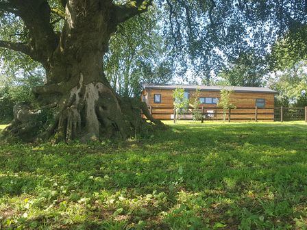 Holiday Lodges In Cornwall Rent Log Cabins In Cornwall Sykes