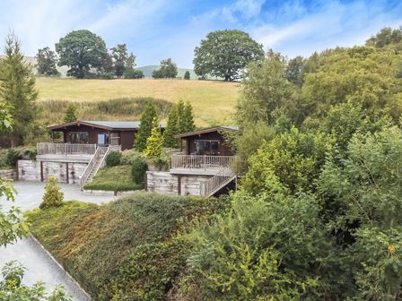 Two wooden cabins with decks surrounded by trees and bushes with a grassy hill and large trees in the background at Mountain View Rhayader