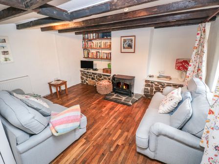 A living room with two gray sofas a wood stove bookshelves and a wooden floor at Pant y FFynnon in St Davids