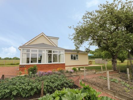 A house with a garden and vegetable beds under a tree at Buttercups at Midway in Kington