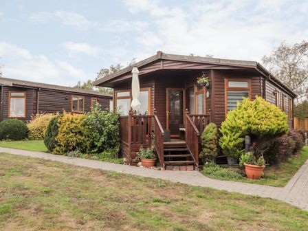 A wooden cabin with a porch and steps surrounded by bushes and a paved walkway at 4 Country View Park in Graveney near Seasalter
