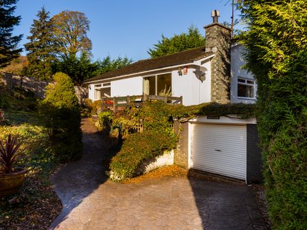 A driveway leading to a garage and a house with stone chimney surrounded by trees and bushes at Nutwood in Lakeside