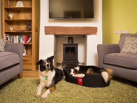 A living room with two dogs on a green rug in front of a fireplace and wooden bookshelf at The Cats Bield in Keswick