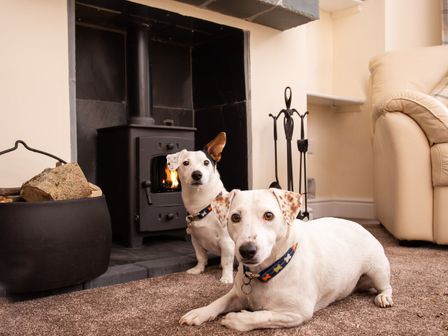 Two dogs lying by a wood burning stove with firewood and fireplace tools next to a beige sofa at Dovedale in Keswick
