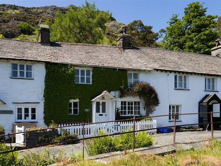 A row of white cottages with a thatched roof and ivy growing on the facade at Curdle Dub in Coniston