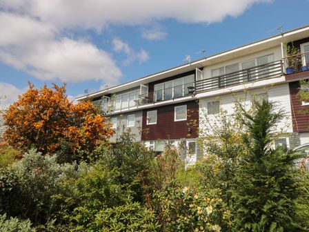 A residential building with balconies and garden plants including a tree with orange flowers at The Heights in Bowness