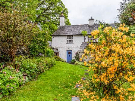 A garden path leading to a white stone cottage with a blue door surrounded by green plants and yellow flowers at Knotts Cottage in Troutbeck