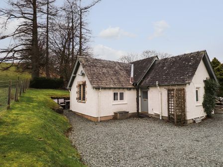 A small white cottage with a gravel driveway and grassy area with trees at Larch Cottage in Hawkshead
