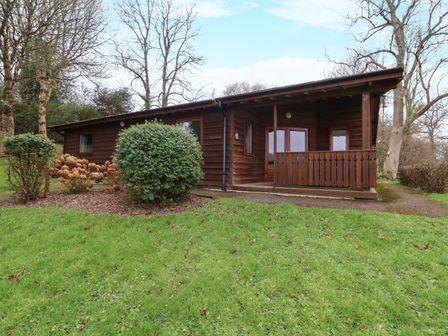 A wooden cabin with a covered porch surrounded by grass and bushes at The Oak Lodge near Lyme Regis