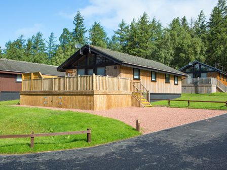 A wooden cabin with a fenced porch and gravel driveway surrounded by grass and trees at Pine Tree in Otterburn