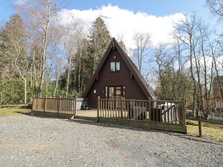 log cabin breaks with dogs