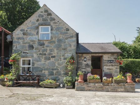 Stone cottage with flower pots and wooden benches outside at Ysgubor Newydd Henryd near Conwy