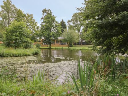 A pond surrounded by trees and grass with a wooden building in the background at The Leat in Droitwich Spa