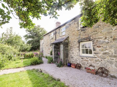 A stone cottage with a gravel path and garden with flowers and trees at Pant Yr Iwrch in Llanbedr Y Cennin