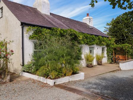 A white cottage with green plants and shrubs outside and a gravel driveway at Bwthyn Gwyn Ty'n Y Pant in Boduan near Nefyn