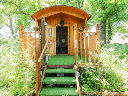 A wooden cabin with a small porch and green carpeted steps surrounded by trees and plants at Hugatree in Little Dunham near Litcham