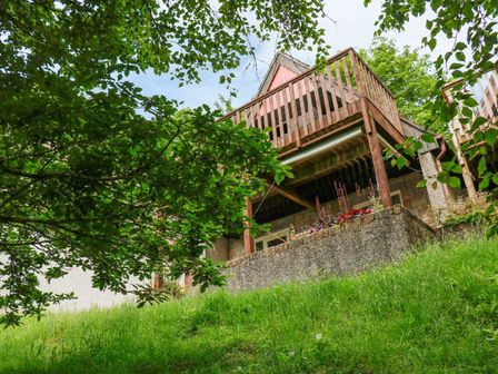 An outdoor wooden balcony attached to a building surrounded by trees and grass at 19 Honicombe Park in St Ann's Chapel near Drakewalls
