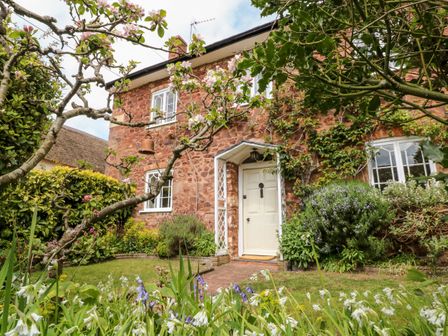 The front entrance of a stone house with a white door surrounded by plants and flowers at Vine Cottage in Dunster