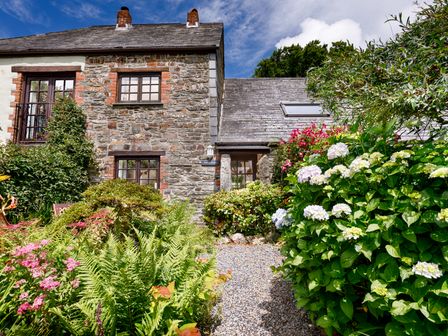 A stone cottage with a gravel path leading to the door surrounded by various green plants and flowering bushes at Ash Cottage in Warbstow