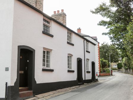 A street view of white cottages with black door and window frames and a curved road with trees at Cuddfan in Llangollen