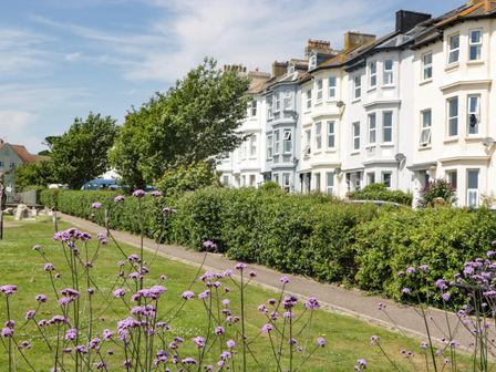 A row of white and grey terraced houses with bushes and purple flowers in front at Bay Tree House in Seaton Devon