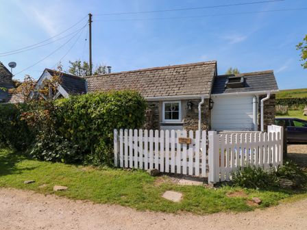 A small stone cottage with a tiled roof behind a white picket fence and green bushes at Toad Hall Cottage in Hutcherleigh near Blackawton