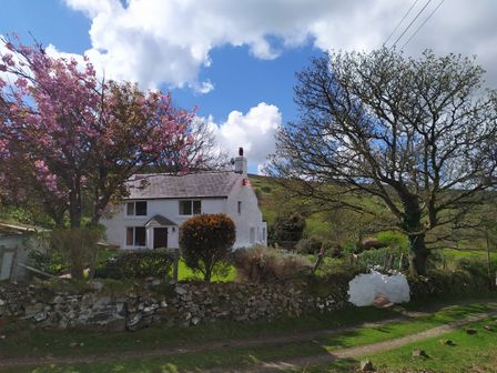 A white cottage with a stone wall and trees including one with pink blossoms in a rural area at Penllain in Newport Pembrokeshire