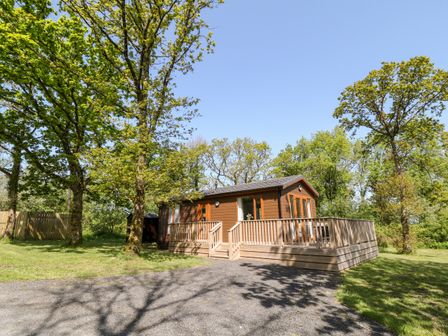 A wooden cabin with a deck surrounded by grass and trees at Dove Lodge in Highampton near Sheepwash