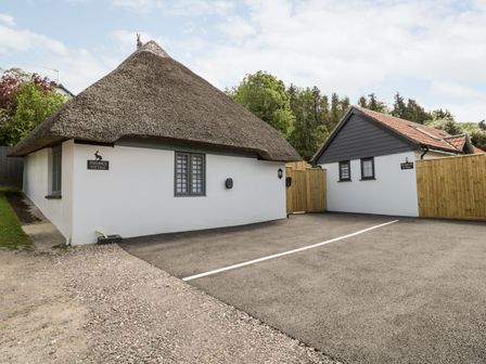 A thatched roof cottage next to a white building with parking spaces near trees at Thimble Cottage in Winterborne Stickland near Blandford Forum