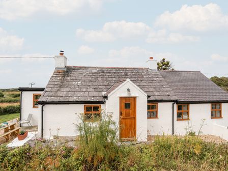 A white cottage with a wooden door and multiple windows surrounded by wild plants at Plas Coch Rhoscolyn