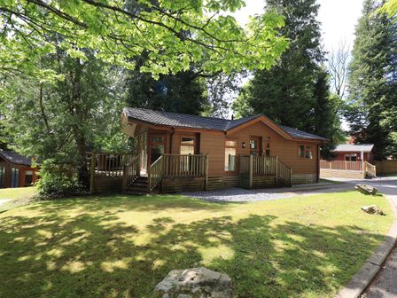 A wooden cabin with a deck and green lawn surrounded by tall trees at Forest Pines Lodge in Beech Hill 10 Fallbarrow Park near Bowness on Windermere