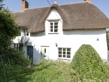 A thatched roof cottage with white walls and a garden at 1 Old Thatch in Kilve