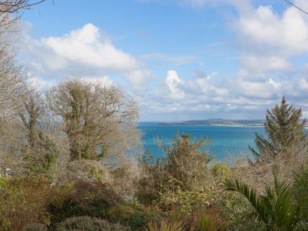 A landscape view of leafless and leafy trees overlooking a blue sea with a distant shoreline under a partly cloudy sky at Ocean Gate in Carbis Bay