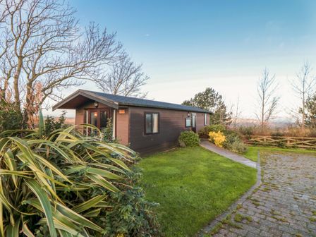 A small wooden cabin surrounded by grass and plants with a paved driveway at Holly Lodge in Liverton