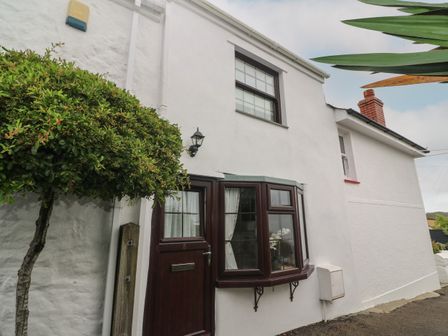 Exterior of a white house with a dark brown door and bay window next to a trimmed tree at Primrose Cottage in Hayle
