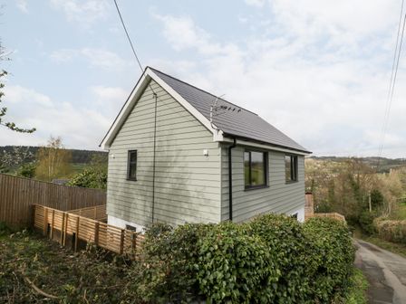 A house with green siding and a tiled roof next to a road surrounded by trees and shrubs at Sevenwoods View in Longhope