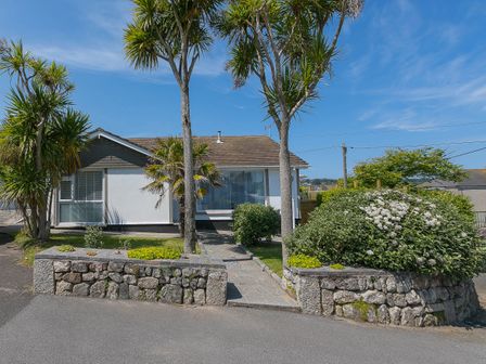 A single story house with a front garden and stone wall with palm trees at Penlan in Carbis Bay